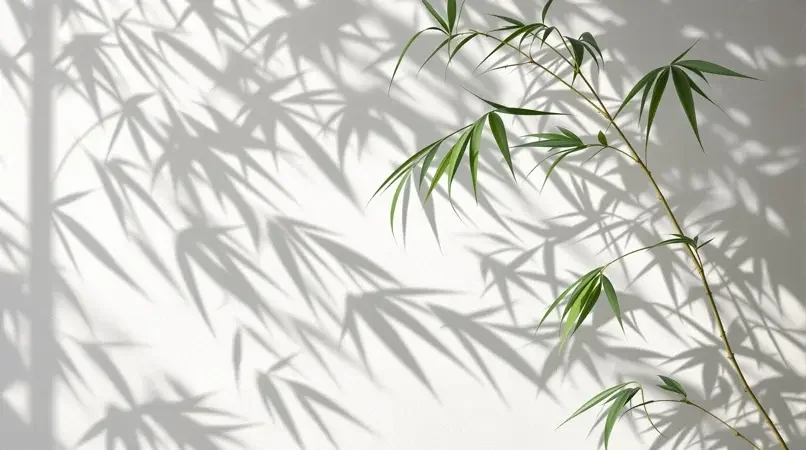 竹影摇风 - 在线视频免费观看精选影像封面