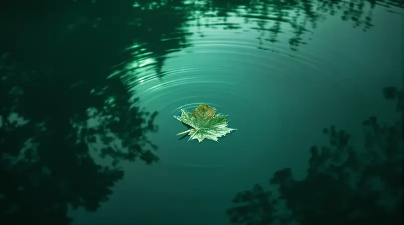 静水流深 - 在线视频免费观看精选影像封面